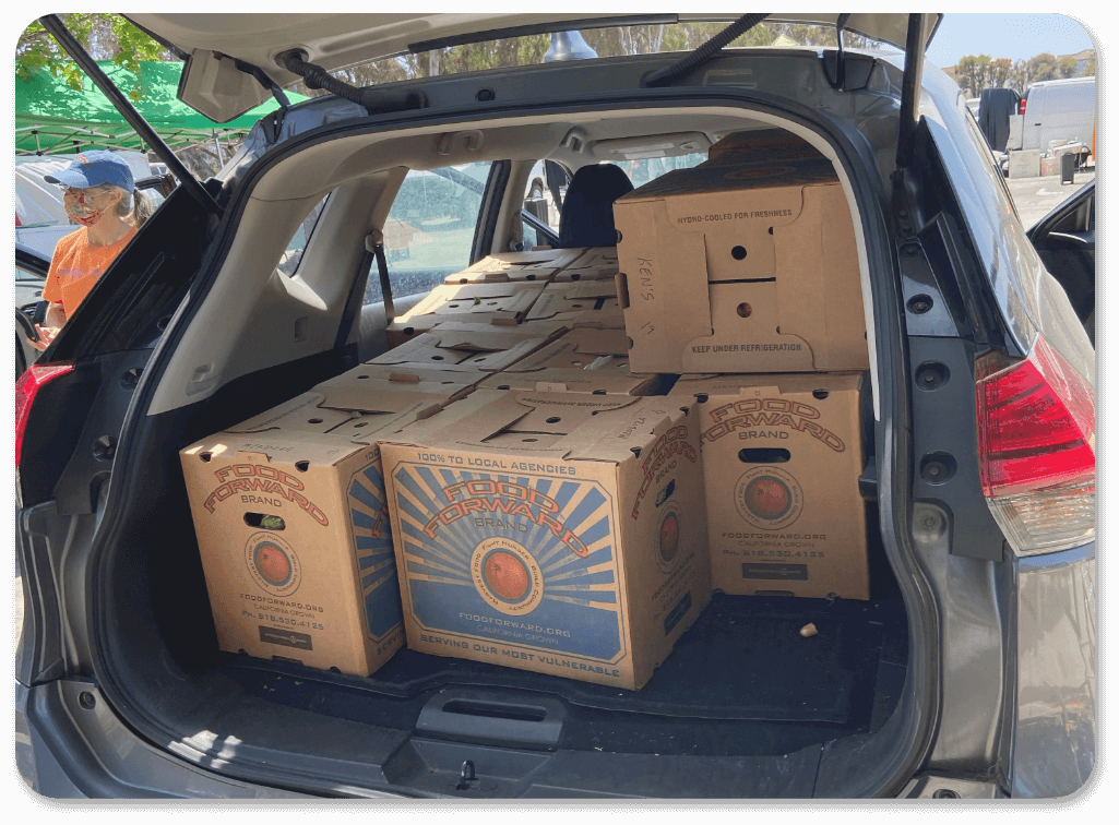 Food boxes preparation